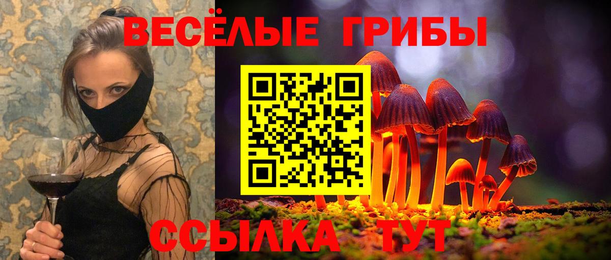 Псилоцибиновые грибы Psilocybine cubensis  Вход с VPN  Галлюциногенные грибы GOLDEN TEACHER  Чайковский 